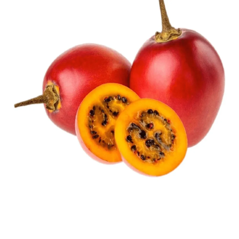 tree tomato